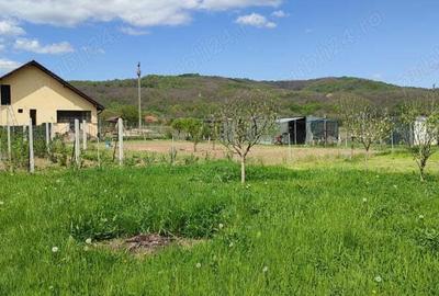 Casa de vanzare in Predesti , Nicolae Balcescu, Valcea - 5