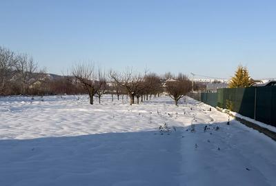 Casă cu 4 camere în Central - 1