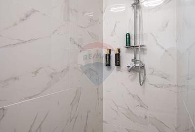 Apartament cu 2 camere decomandat, mobilat în Zamora - 9