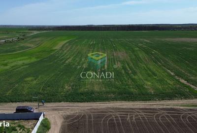 Spațiu comercial, în Pițigaia - 1