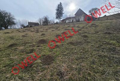 Teren extravilan de 5800 mp, în Sărămaș - 2