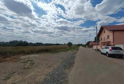 Teren de 2000 mp, în Zădăreni - 3