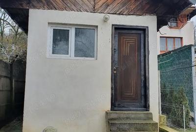 Casă cu 1 camere în Bascov - 2