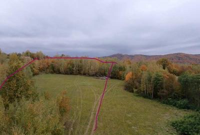 Teren ideal recreere/conectare cu natura/zona Fagaras/achitare in rate - 8