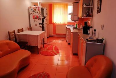 Apartament 2 camere Vidin, etaj 1, mobilat utilat - 6