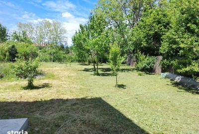 Casă cu 3 camere cu Teren 1000 Mp în Central - 7