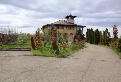 Proprietate spatioasa cu potential turistic - Iasi - 2