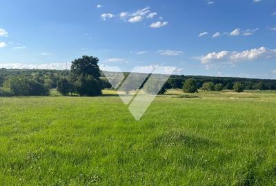 Teren intravilan – 9 loturi - Rasinari, Sibiu - 7