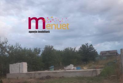 Teren intravilan Caslita , 320 mp - 3