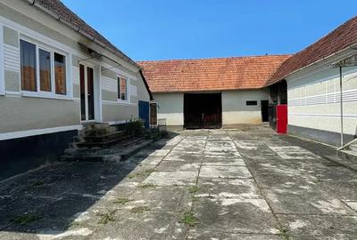 Vand casa la ?ara, Petri? - 2