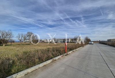 AX959 Teren Intravilan, Zona Industriala Monlandys, Calea Sagului - 6