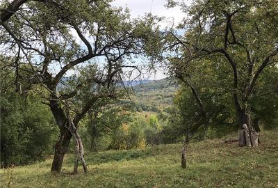 Casă cu 2 camere cu Teren 5000 Mp în Râmeț - 2