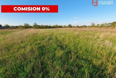 Comision 0% Teren intravilan de 3346 mp cu 2 fronturi - Jebel - 2