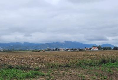 Teren 4,74 ha pretabil construire locuinte individuale si colective S+P+2E+M.