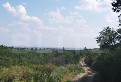 Teren, 3600mp, Drumul Vinului - 2