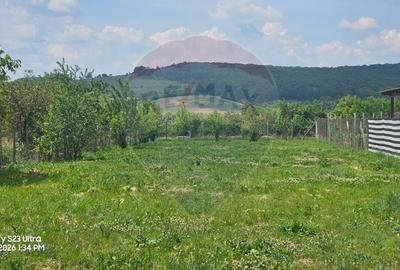Teren Construcții intravilan de 1186 mp, în Ineu - 7