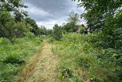 Casă cu 3 camere în Moara Vlăsiei