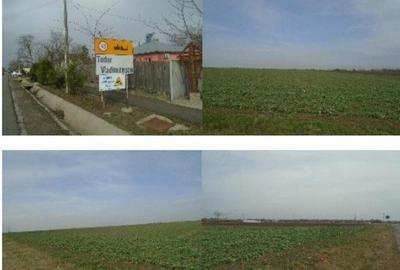 Teren cota parte 3/48 Tudor Vladimirescu R2548611 - 1