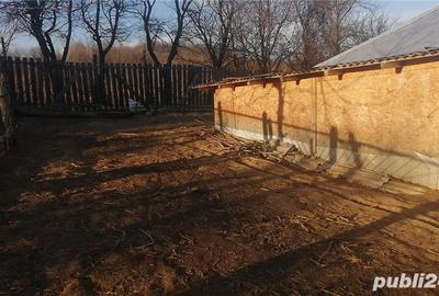 Casă cu 4 camere cu Teren 2000 Mp în Scurta - 7