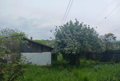 Casă cu 6 camere în Berești - 5