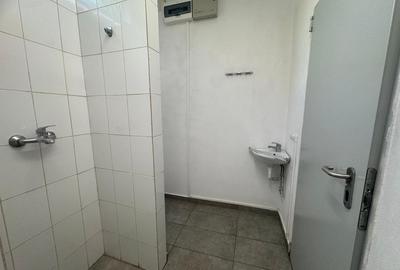 Spatiu cu alta destinatie Lipovei !!! - 6