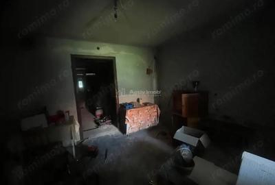 Valisoara, Casa la curte si Teren 3040 Mp, 10 minute de Caransebes - 16