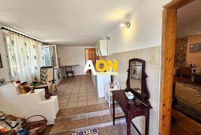 Casa tip cabana de vacanta, 5 camere, 2300 mp teren, zona Schit - 7