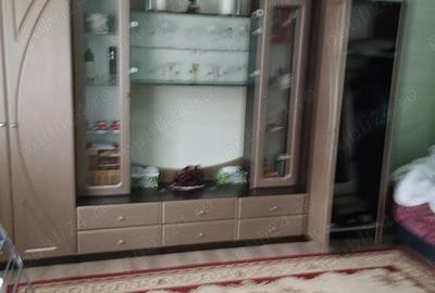 Vand casa sat Dragu, com Dragu, jud Salaj - 2