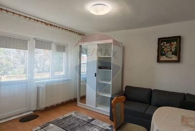 Apartament cu 1 camere decomandat în Brazda lui Novac - 1