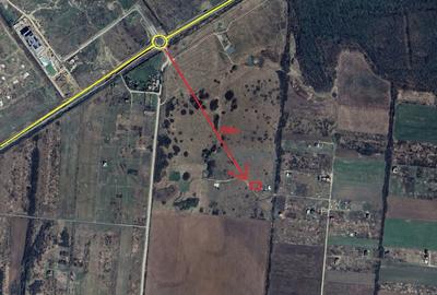 Teren Mosnita Noua - 600m distanta de giratoriu centura - 1