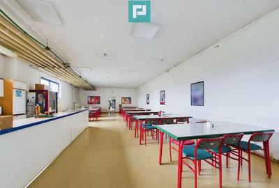 Spa?iu Industrial ?i de Produc?ie Sustenabil - 11