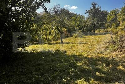 Casa veche cu teren in zona ultracentrala in suprafata de 1263 mp - 6