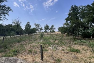 Casa de vacanta - Munteni Buzau - Jutetul Ialomita - Curte 2000mp - 13