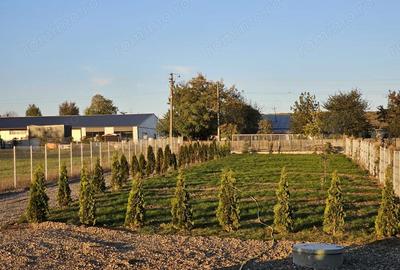 Casă cu Teren 1911 Mp în Vârfu Câmpului - 8