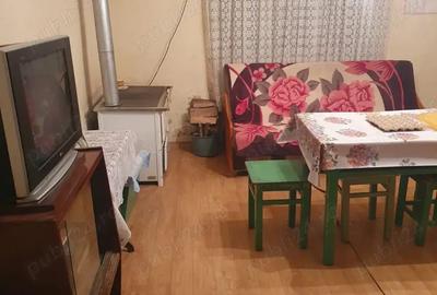 Casa la ?ara, Satu Nou - 1