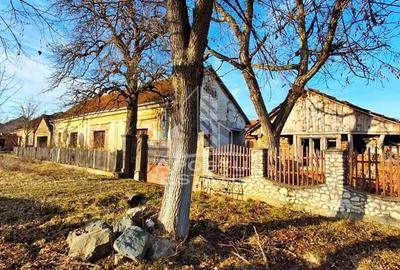 Casa de caramida in Tela si Teren Generos de 4320 mp - 2