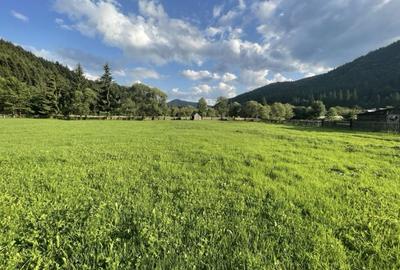 Spațiu comercial, în Central