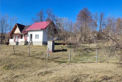 Casă cu 2 camere în Șuici - 4