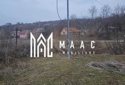 Teren Construcții intravilan de 1740 mp, în Hamba - 6