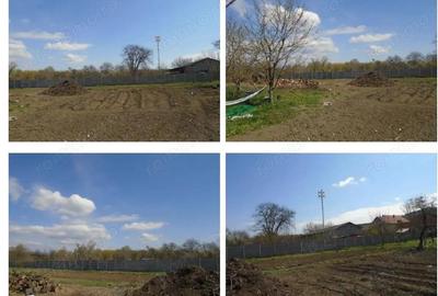 Teren intravilan Loc. Spini, comuna Turdas, jud. Hunedoara - 4