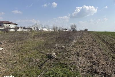 Teren de 4990 mp, în Frumușani - 7