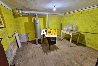 Casă individuală cu 2 camere cu Canalizare în Cetate - 13