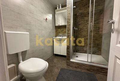 Apartament cu 2 camere decomandat, mobilat în Constructorilor - 11