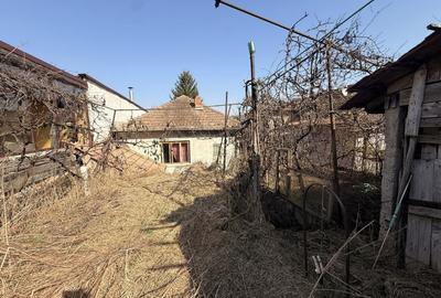 Casă individuală cu 5 camere cu Teren 532 Mp în Gruia - 4