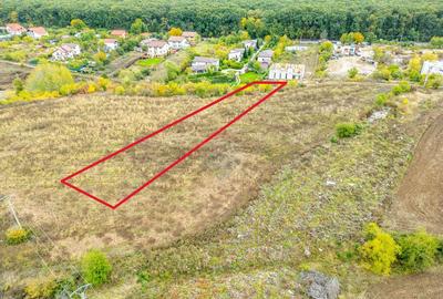 Teren 3000 mp in Snagov zona in dezvoltare, aproape... - 11