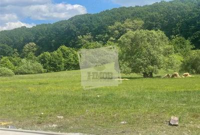 Casa 4 camere 2 bai balcon si gradina in Rasinari - 2