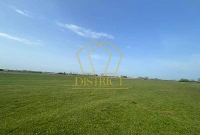 Teren arabil extravilan langa centura de Sud | Giroc - 4