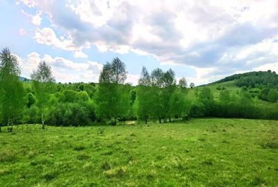 25.000 mp TEREN IDEAL AFACERE TURISM – AMENAJARE LAC DE PESCUIT, CIUCEA - CLUJ - 2