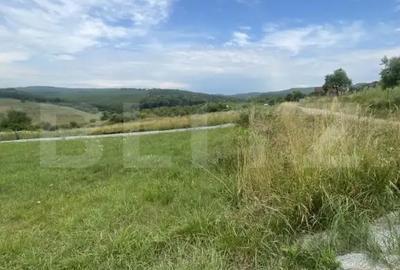 Teren de 2300 mp, în Central