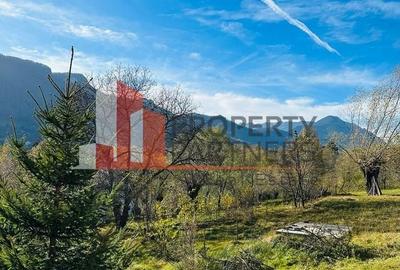 Teren Bran / Predelut cu priveliste 1840mp - 11